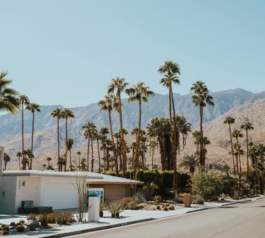 Home in California with Palm Trees